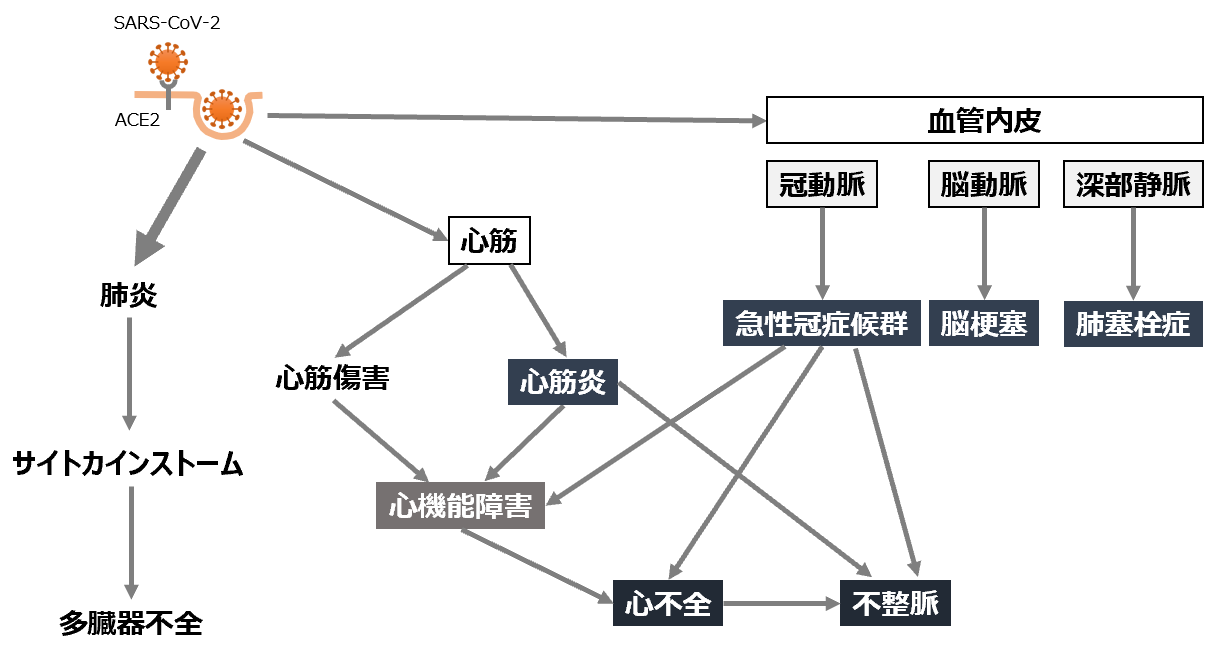 Covid 19における循環器疾患の管理 日本医師会 Covid 19有識者会議 Covid 19における循環器疾患の管理 日本医師会 Covid 19有識者会議