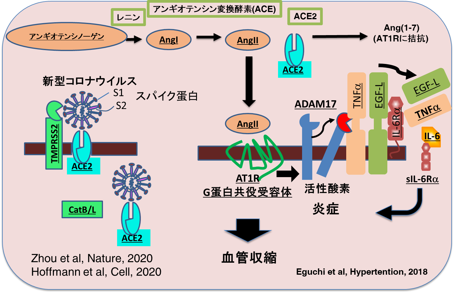 糖尿病治療薬はインポテンスを引き起こしますか？