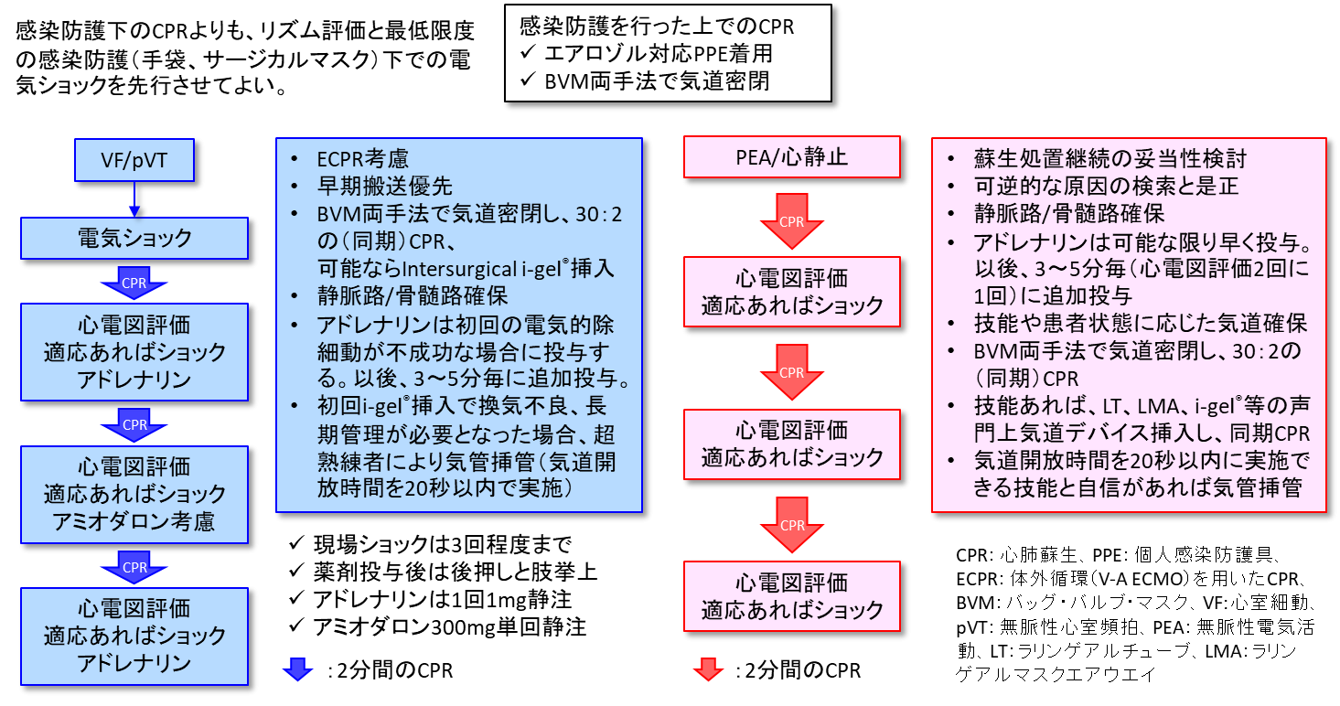 Covid 19流行期の救命処置 Covid 19有識者会議