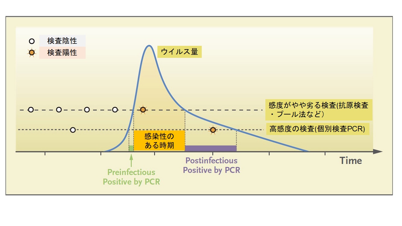 感染拡大防止の鍵となる社会的PCRスクリーニング | COVID-19有識者会議
