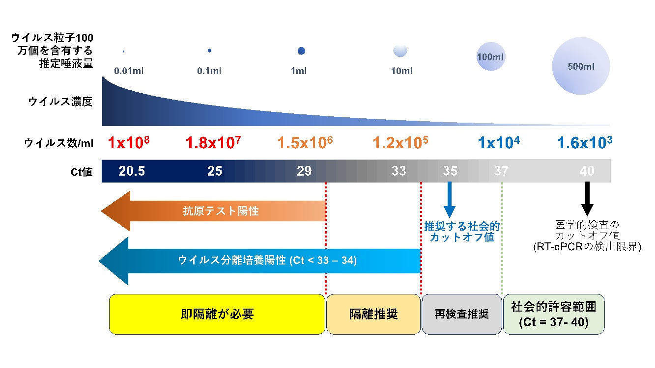 感染拡大防止の鍵となる社会的PCRスクリーニング | COVID-19有識者会議