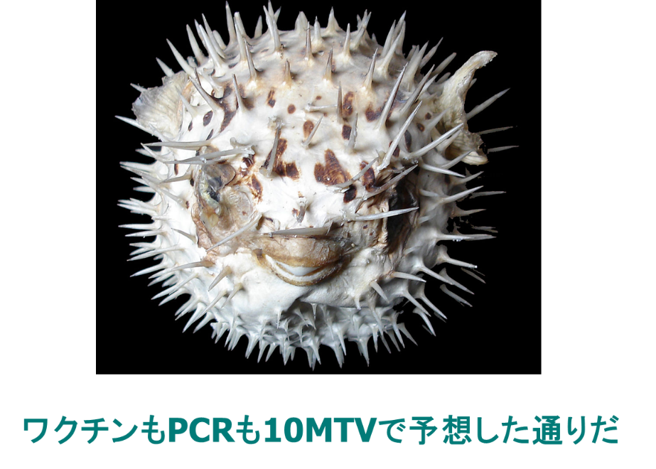 コロナ禍からの脱出 のための知の構造化 Covid 19有識者会議