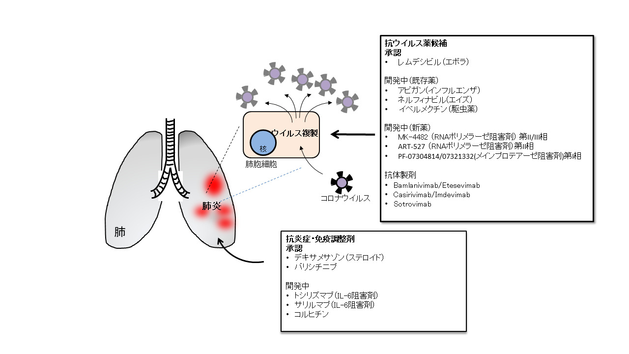Covid 19に対する候補薬剤及び開発状況 第3版 Covid 19有識者会議