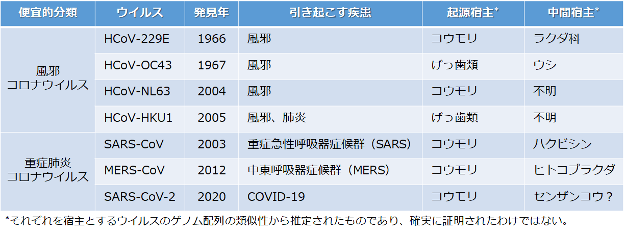 他のウイルスよりも危険ですか？